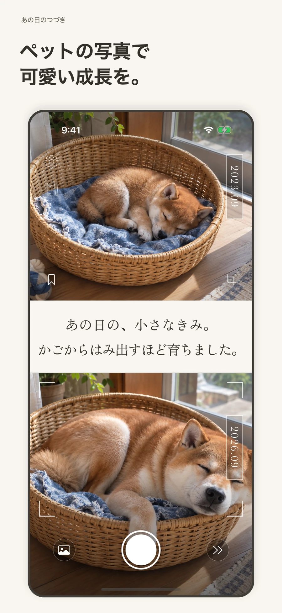 ペットの成長を残す